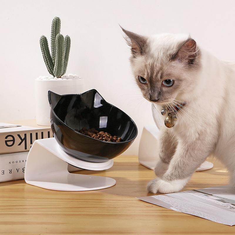 Non-Slip Pet Easy Feeder Bowl - Image 2