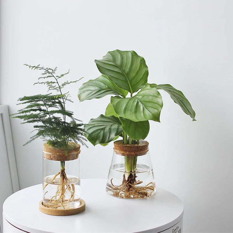 Nordic Transparent Glass Wooden Flower Vase - Image 2
