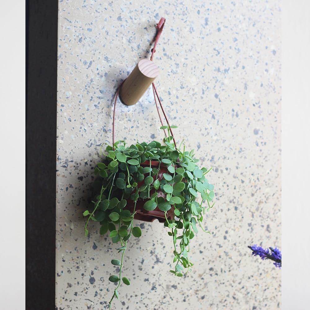 Nordic Wooden Easy Wall-Mounted Clothes Hanger - Image 15