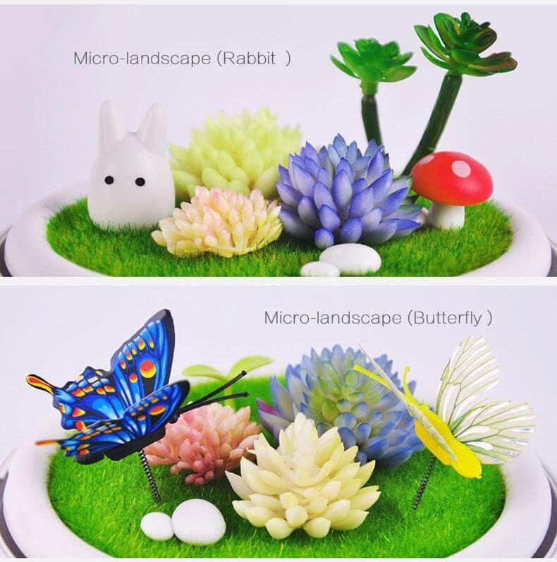 Novelty USB Charging LED Colorful Micro-landscape Plant Light - Image 3