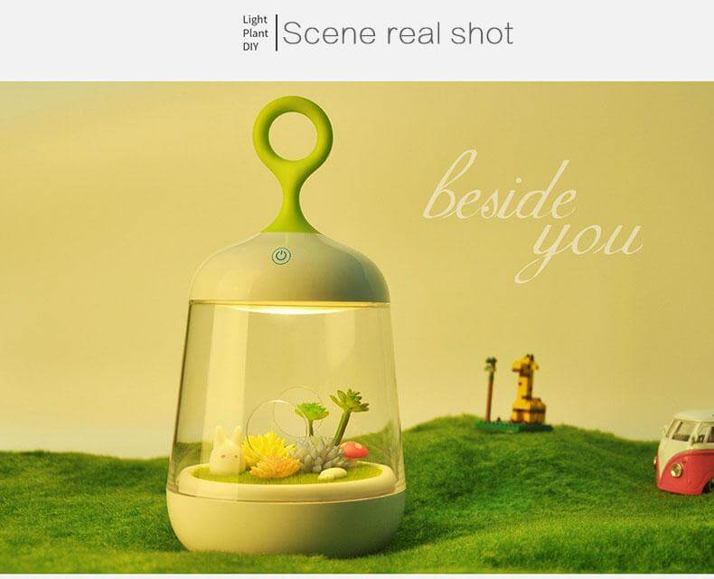 Novelty USB Charging LED Colorful Micro-landscape Plant Light - Image 5