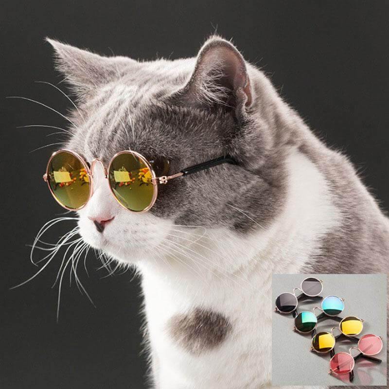 Pet Cat Little Cool Glasses - Image 2
