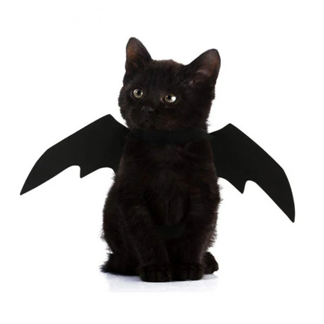 Pet Costume Bat Wing - Image 7