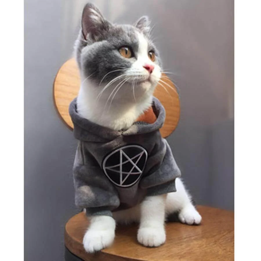 Pet Fashion Hoodie - Image 4
