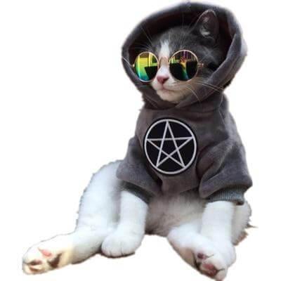 Pet Fashion Hoodie - Image 5