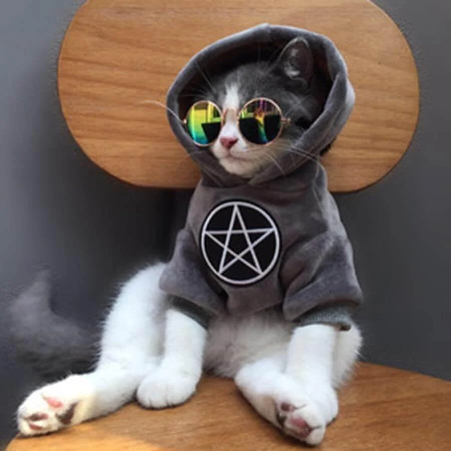 Pet Fashion Hoodie - Image 6