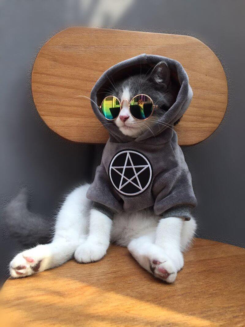 Pet Fashion Hoodie - Image 7