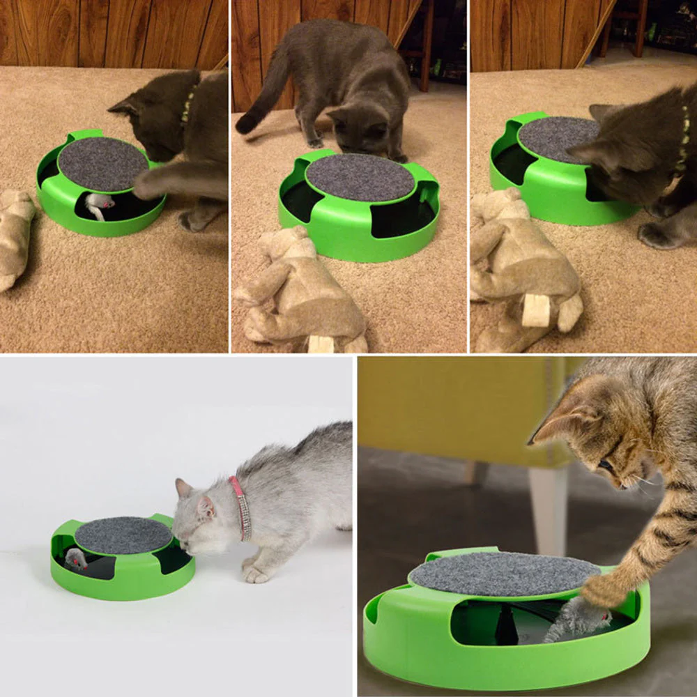 Pet Interactive Mouse Turntable Toy - Image 5