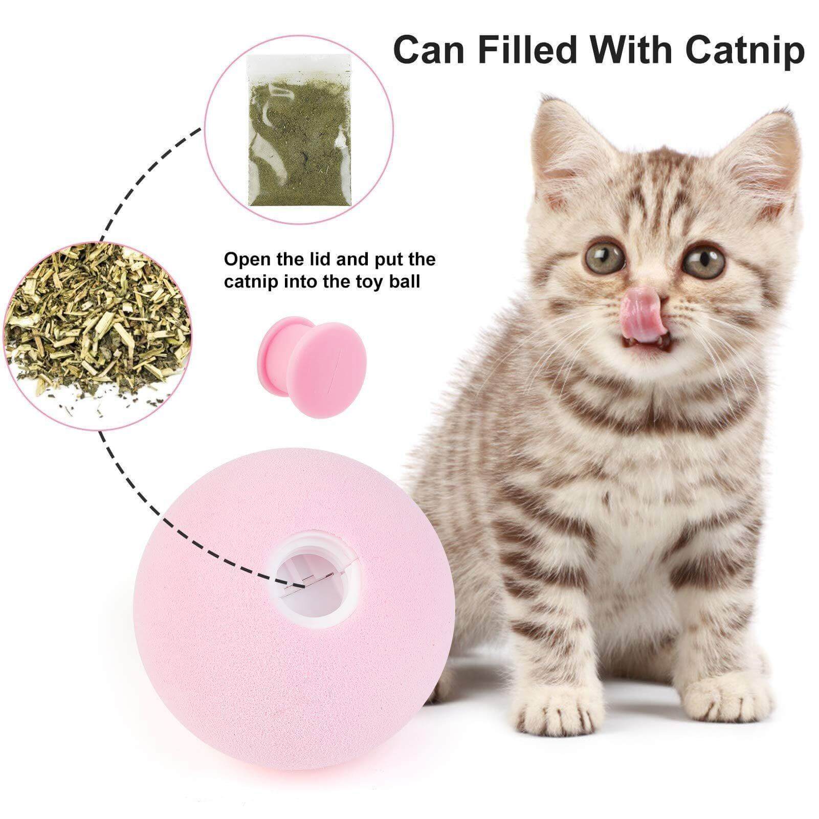 Pet Interactive Training Sound Ball - Image 11