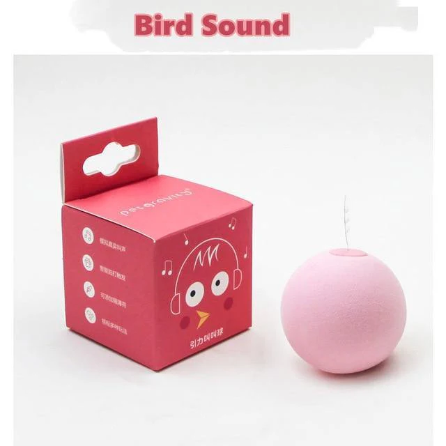 Pet Interactive Training Sound Ball - Image 4