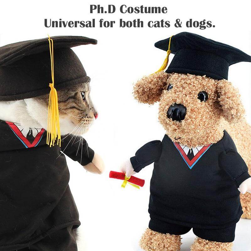 Pet Professor Costume - Image 4