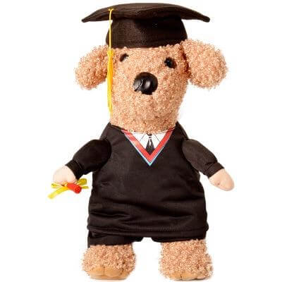 Pet Professor Costume - Image 5