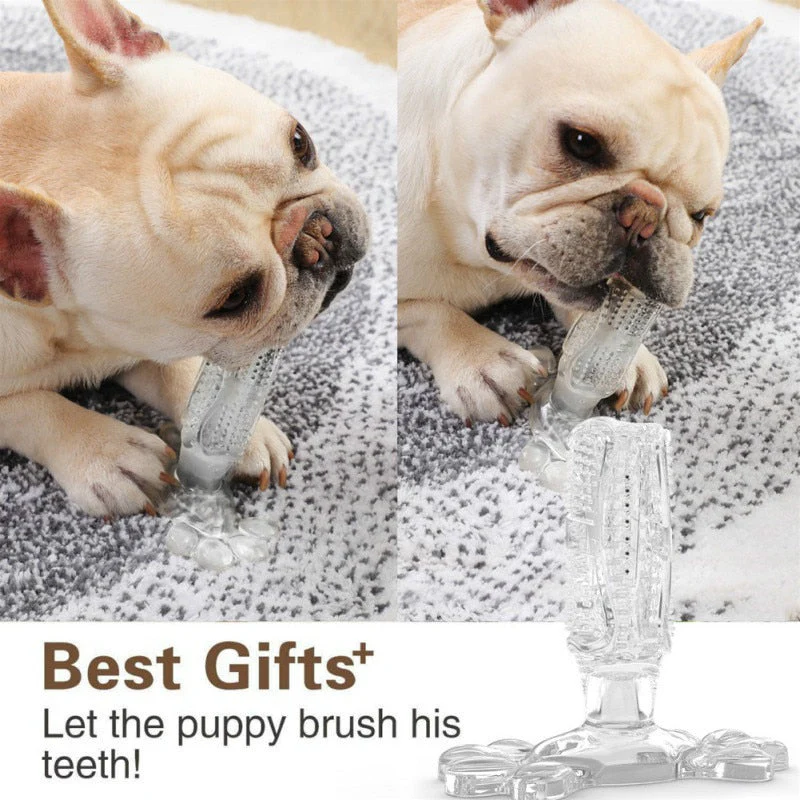Pet Tooth Cleaner Natural Rubber Chew Toy - Image 5