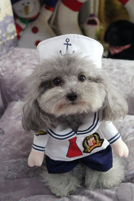 Policeman Dog Costume - Image 2