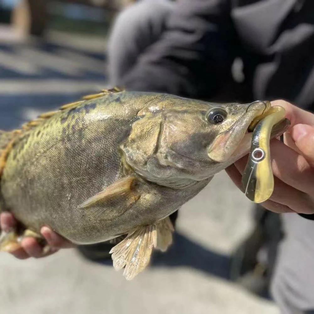 Realistic Reflective Soft Fishing Artificial Bait - Image 7