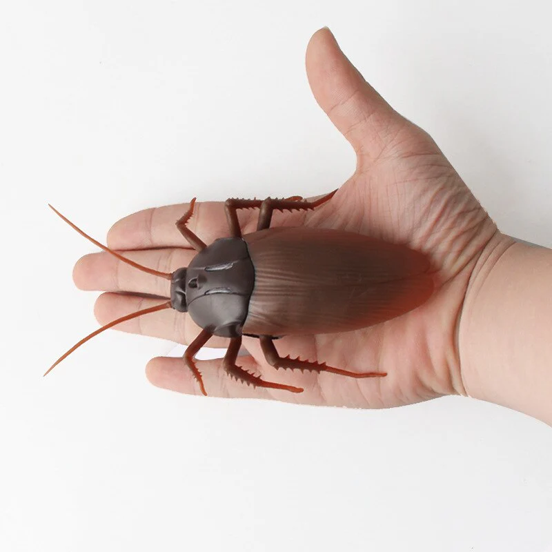 Remote Controlled Cockroach Bug Toy - Image 2
