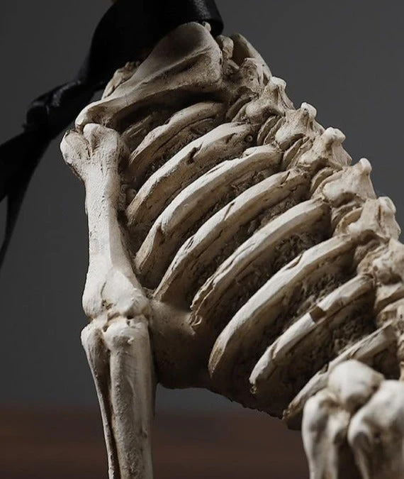 Retro Skull Dog Statue - Image 3