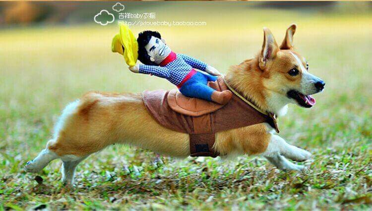 Riding Horse Dog Costume - Image 3