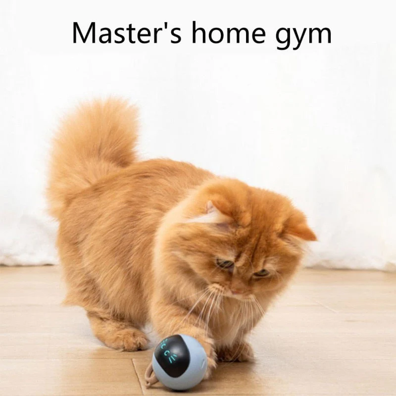 Self Rotating Cat Toy - Image 6