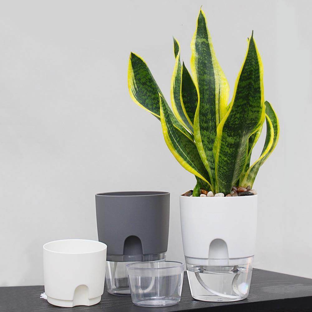 Self-watering Plant Pot with Water Container - Image 10