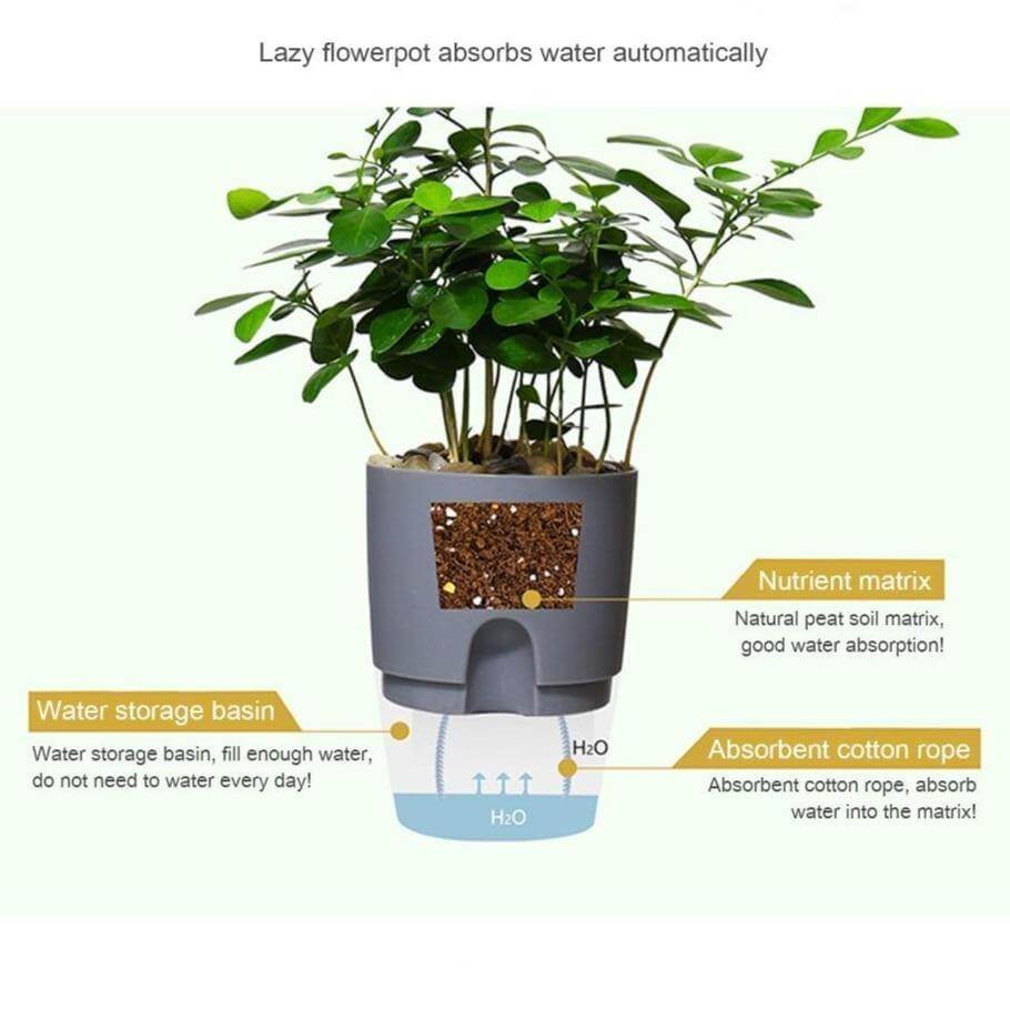 Self-watering Plant Pot with Water Container - Image 5