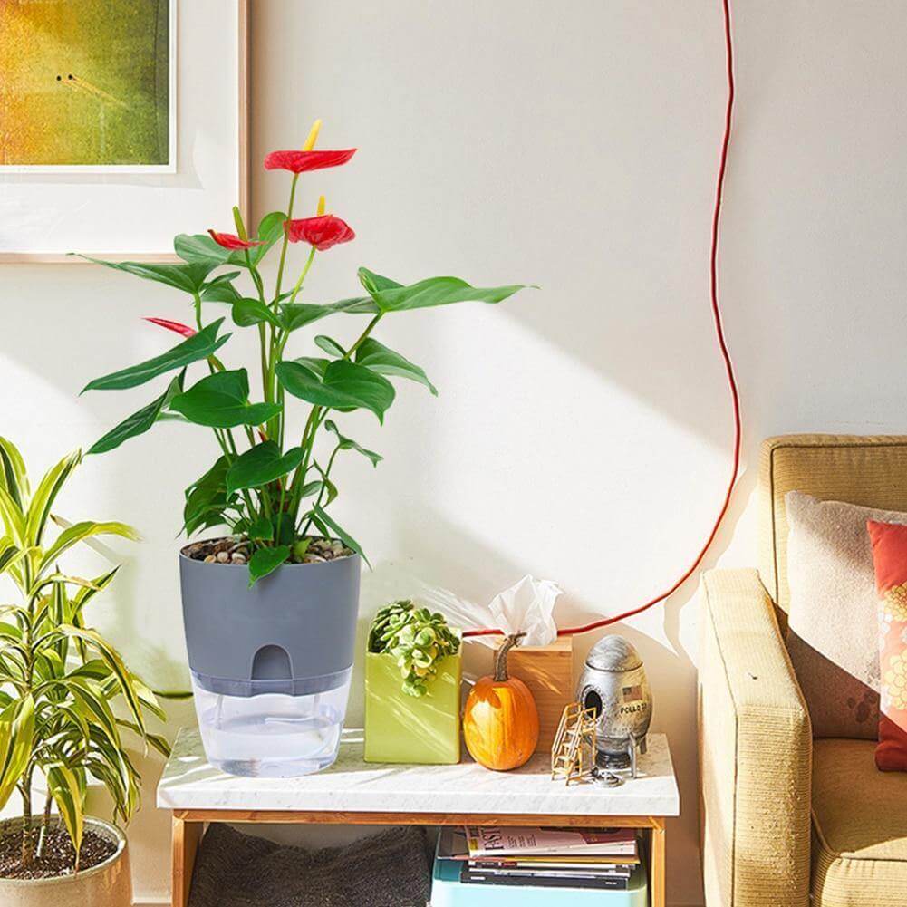 Self-watering Plant Pot with Water Container - Image 9