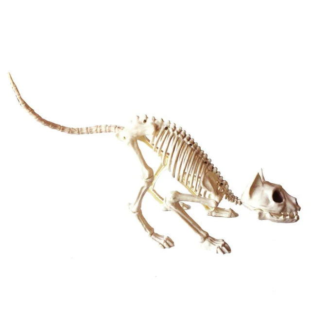 Skeleton Pet Figurines - Image 12