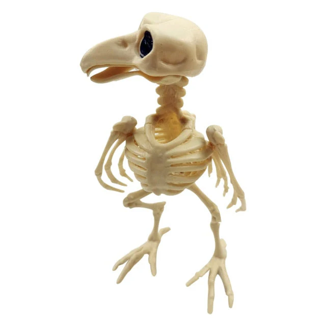Skeleton Pet Figurines - Image 14