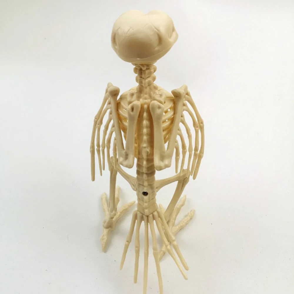 Skeleton Pet Figurines - Image 15