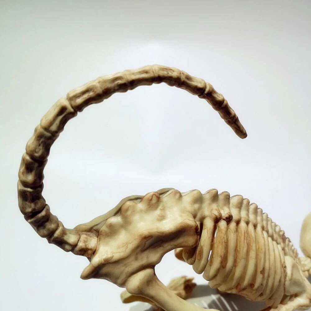 Skeleton Pet Figurines - Image 5