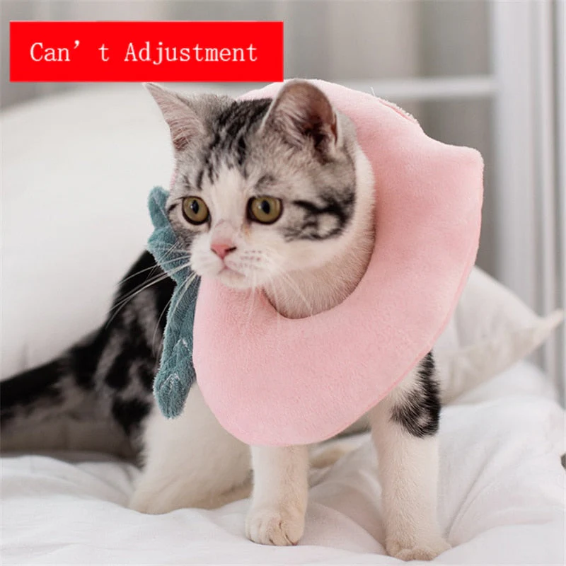 Soft Avocado-Shaped Pet Healing Collar - Image 11