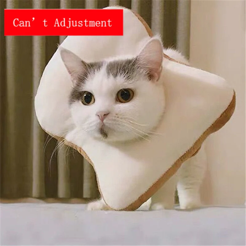 Soft Avocado-Shaped Pet Healing Collar - Image 12
