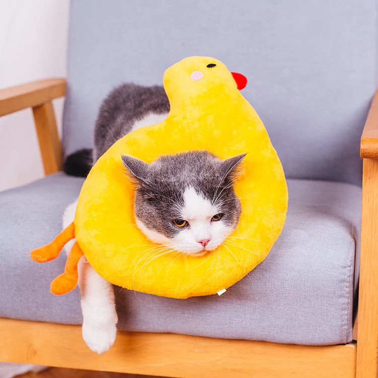 Soft Avocado-Shaped Pet Healing Collar - Image 14