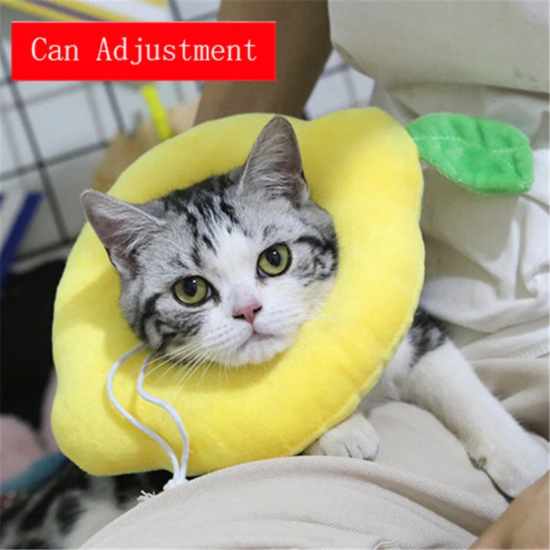 Soft Avocado-Shaped Pet Healing Collar - Image 17