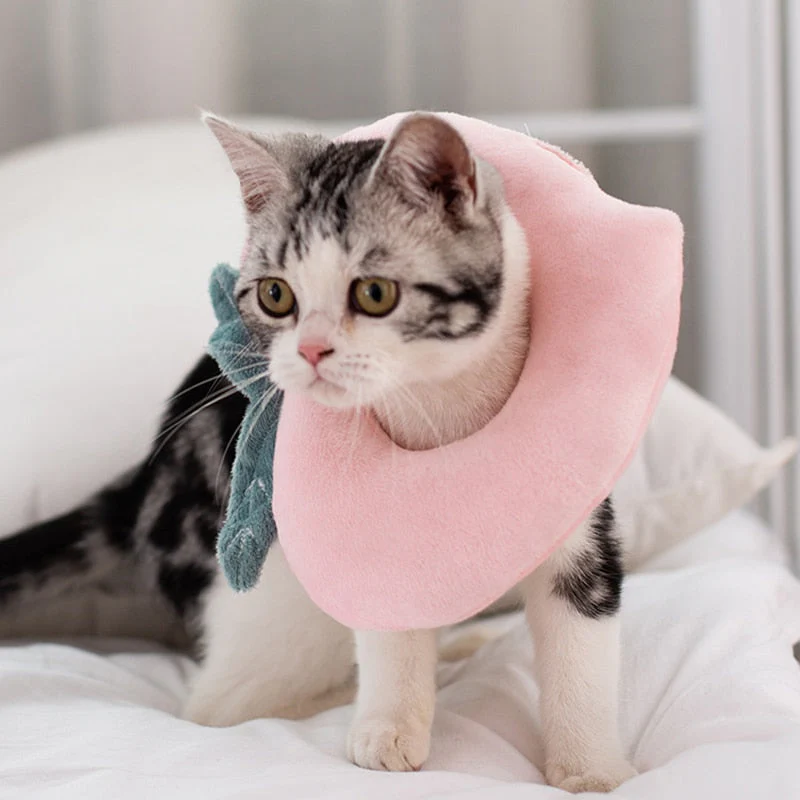 Soft Avocado-Shaped Pet Healing Collar - Image 2