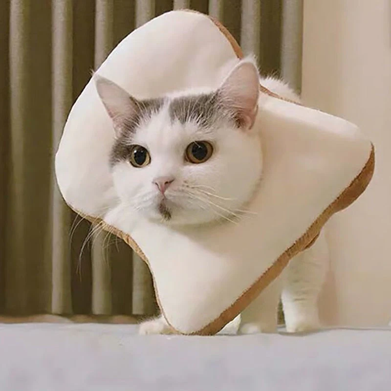 Soft Avocado-Shaped Pet Healing Collar - Image 3