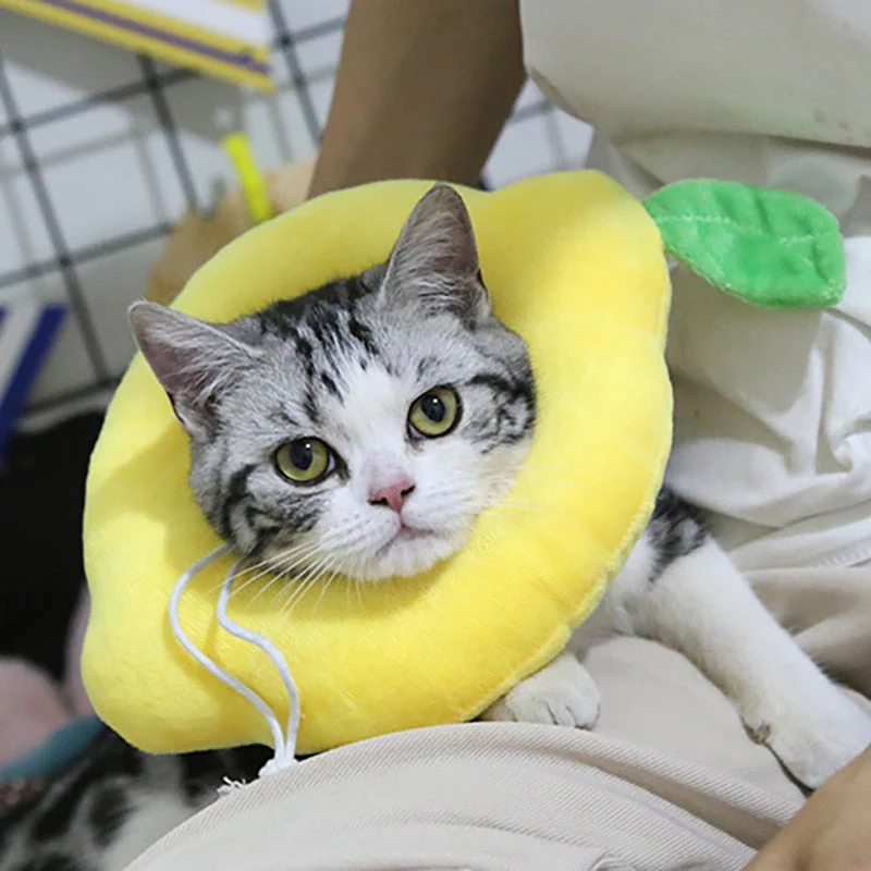 Soft Avocado-Shaped Pet Healing Collar - Image 4