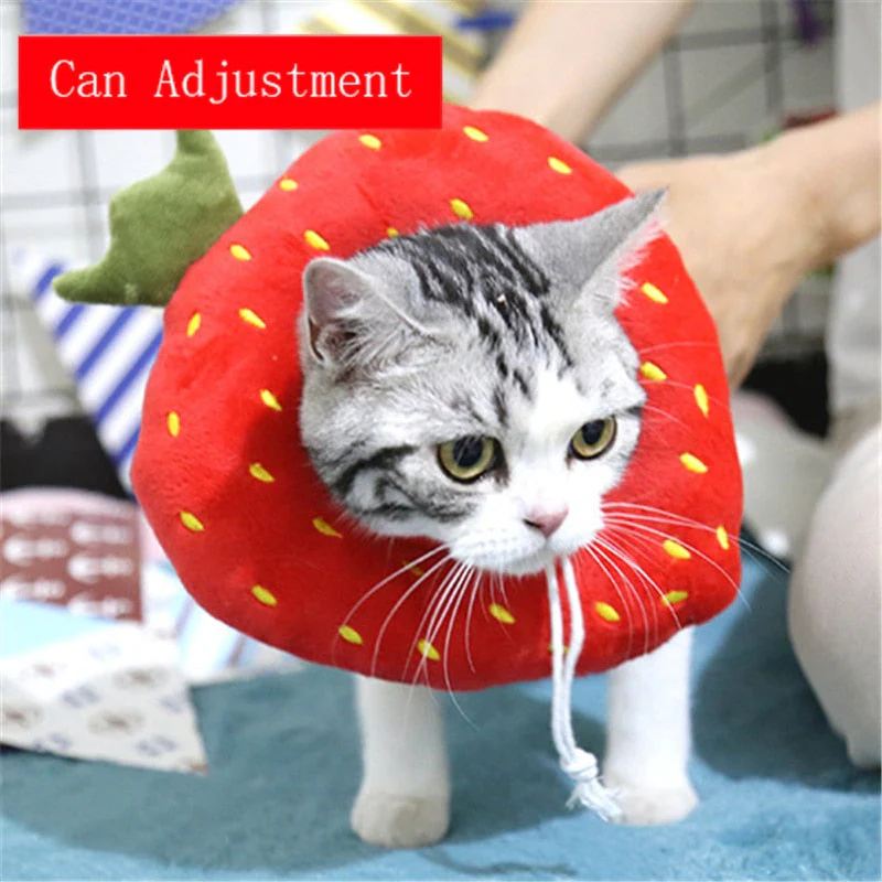 Soft Avocado-Shaped Pet Healing Collar - Image 8
