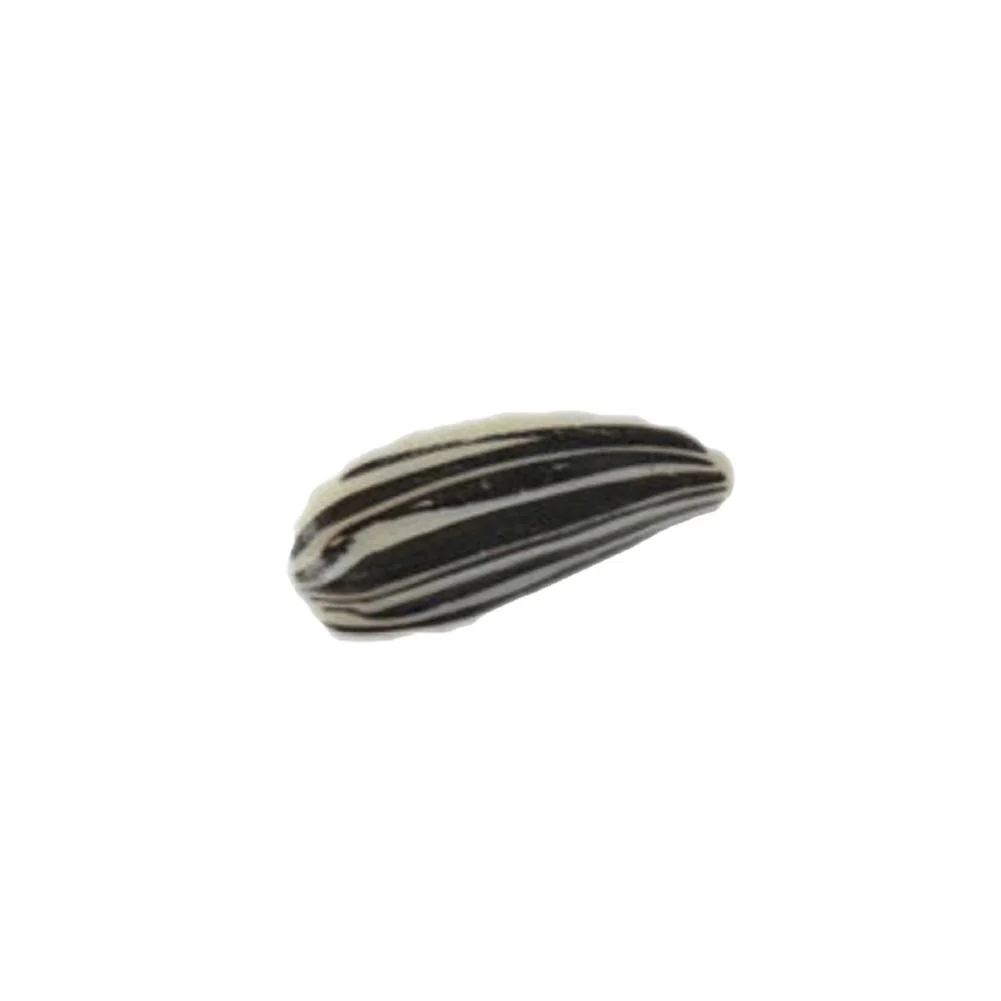 Sunflower Seed Hair Clips - Image 9