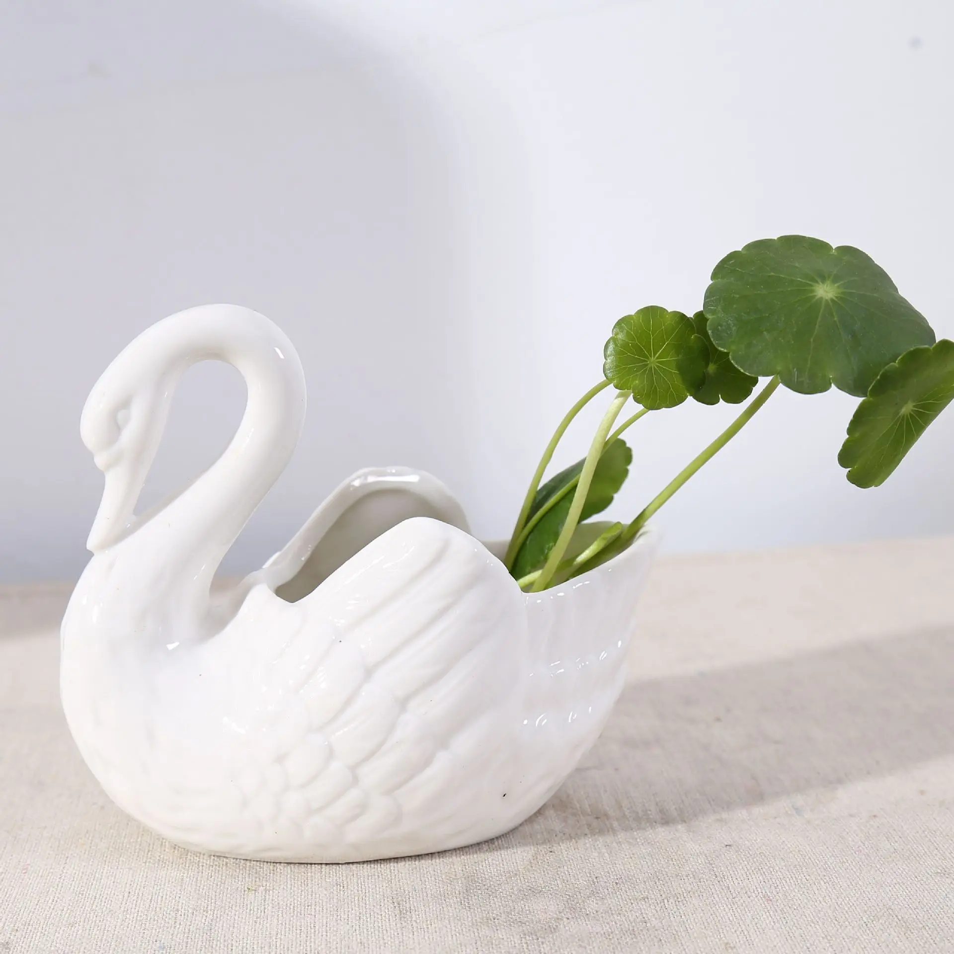 Swan Minimal Ceramic Pot - Image 5