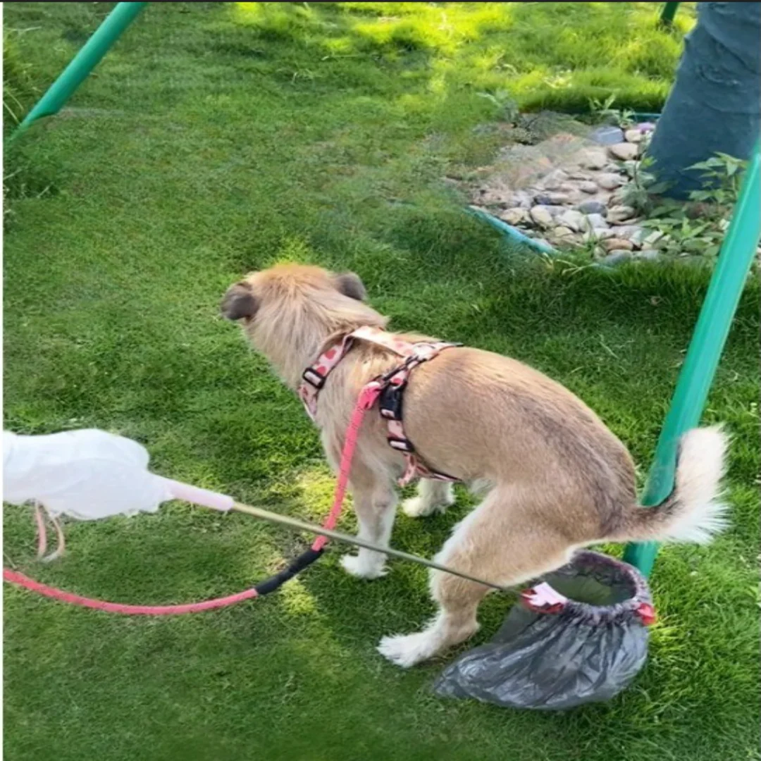 Telescopic Outdoor Pet Waste Scooper - Image 5