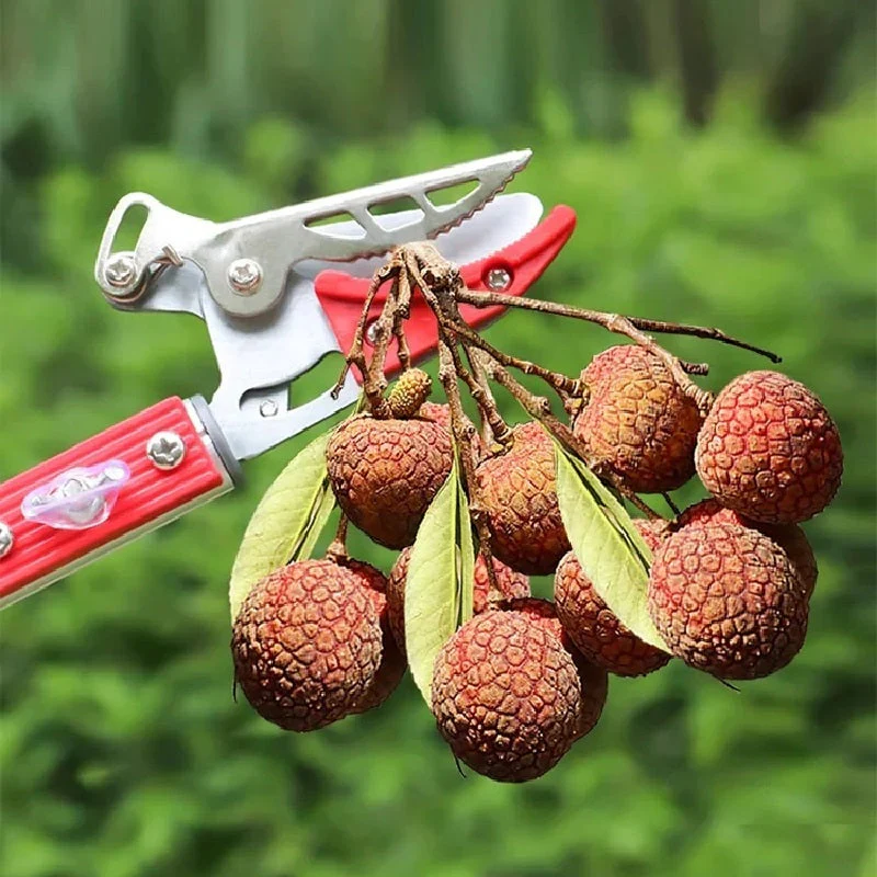 Telescopic Tree Trimmer Heavy-Duty Chainsaw Blade - Image 3