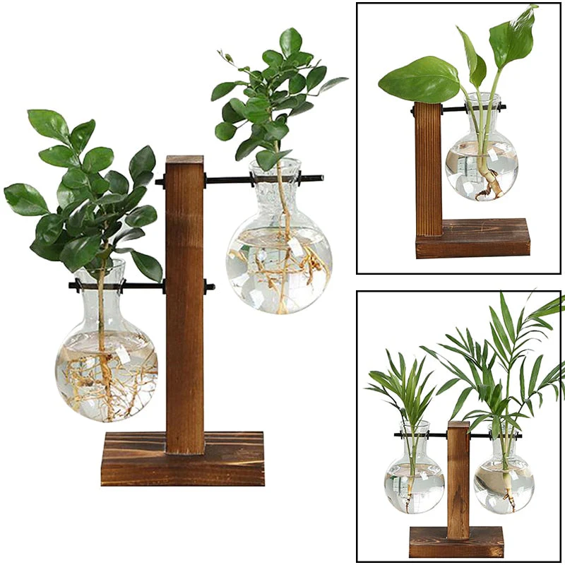 Terrarium Hydroponic Vintage Tabletop Vase - Image 3