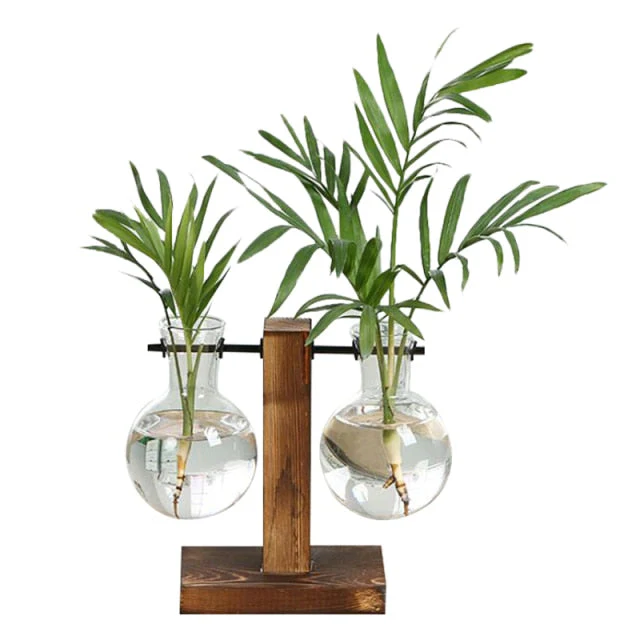 Terrarium Hydroponic Vintage Tabletop Vase - Image 4