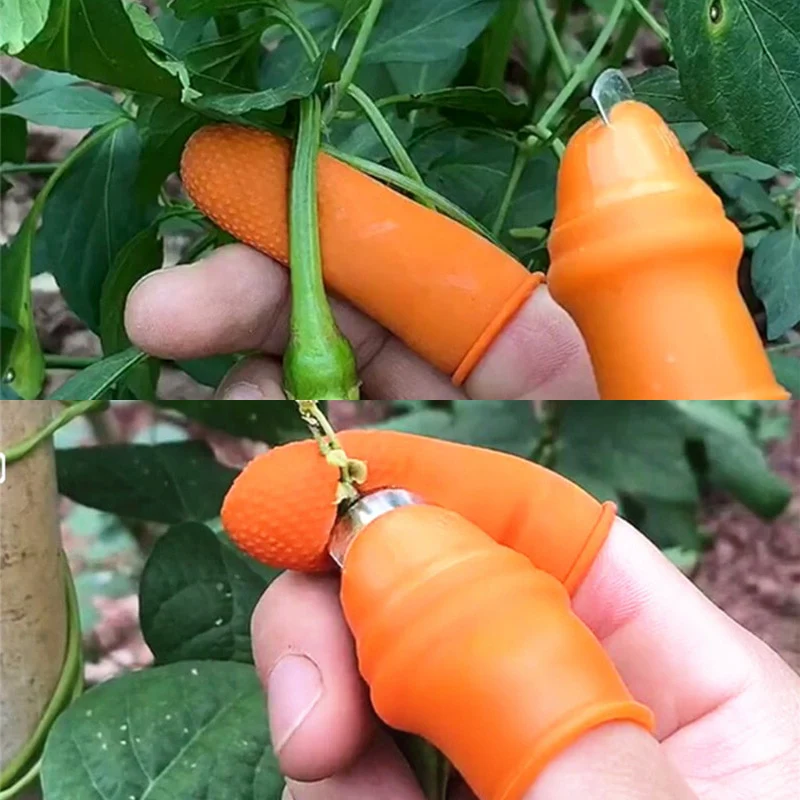Thumb Cutter Knife - Image 5