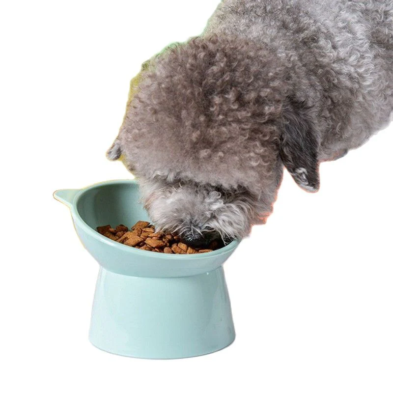 Tilted High Pet Food Water Bowl - Image 2