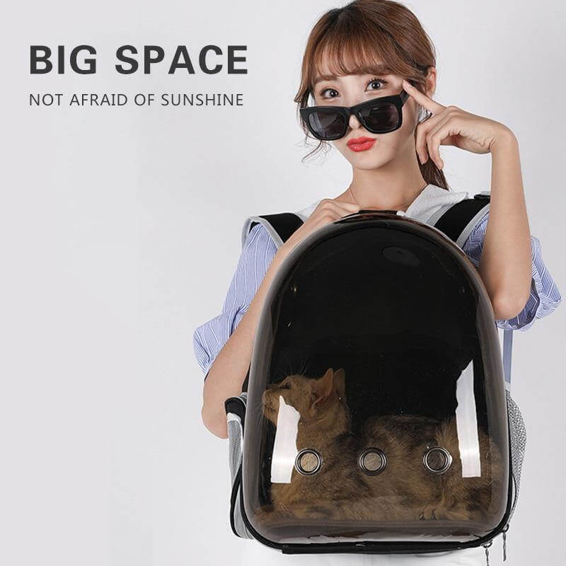 Transparent Breathable Pet Carrier Backpack - Image 5