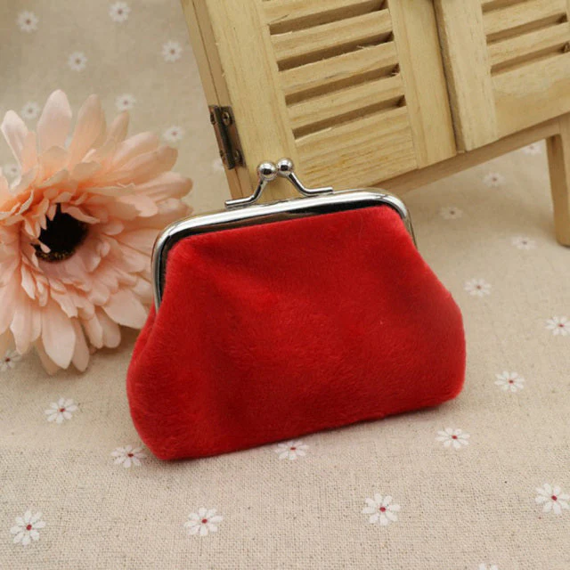 Transparent Minimalist Iron Mouth Purse - Image 9