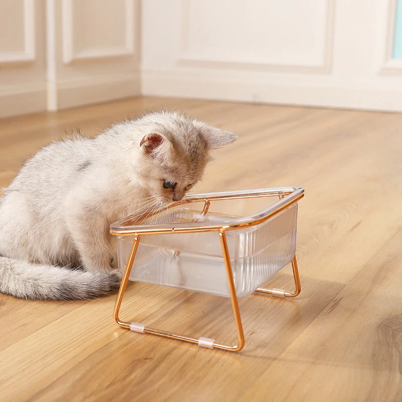 Transparent Non-slip Double Pet Bowl - Image 2