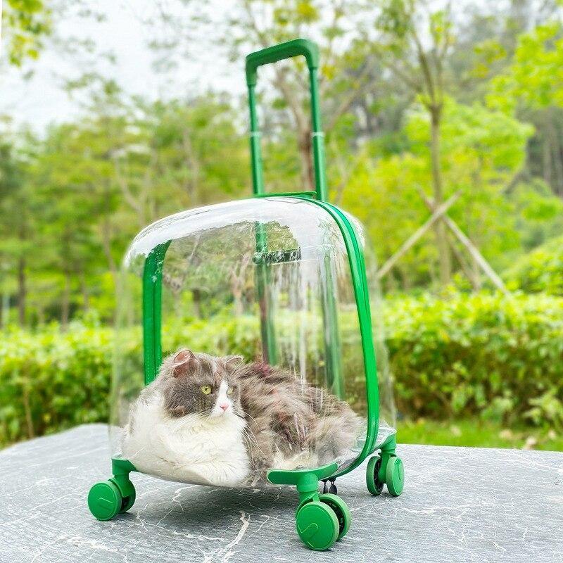 Transparent Pet Travel Trolley Capsule - Image 4